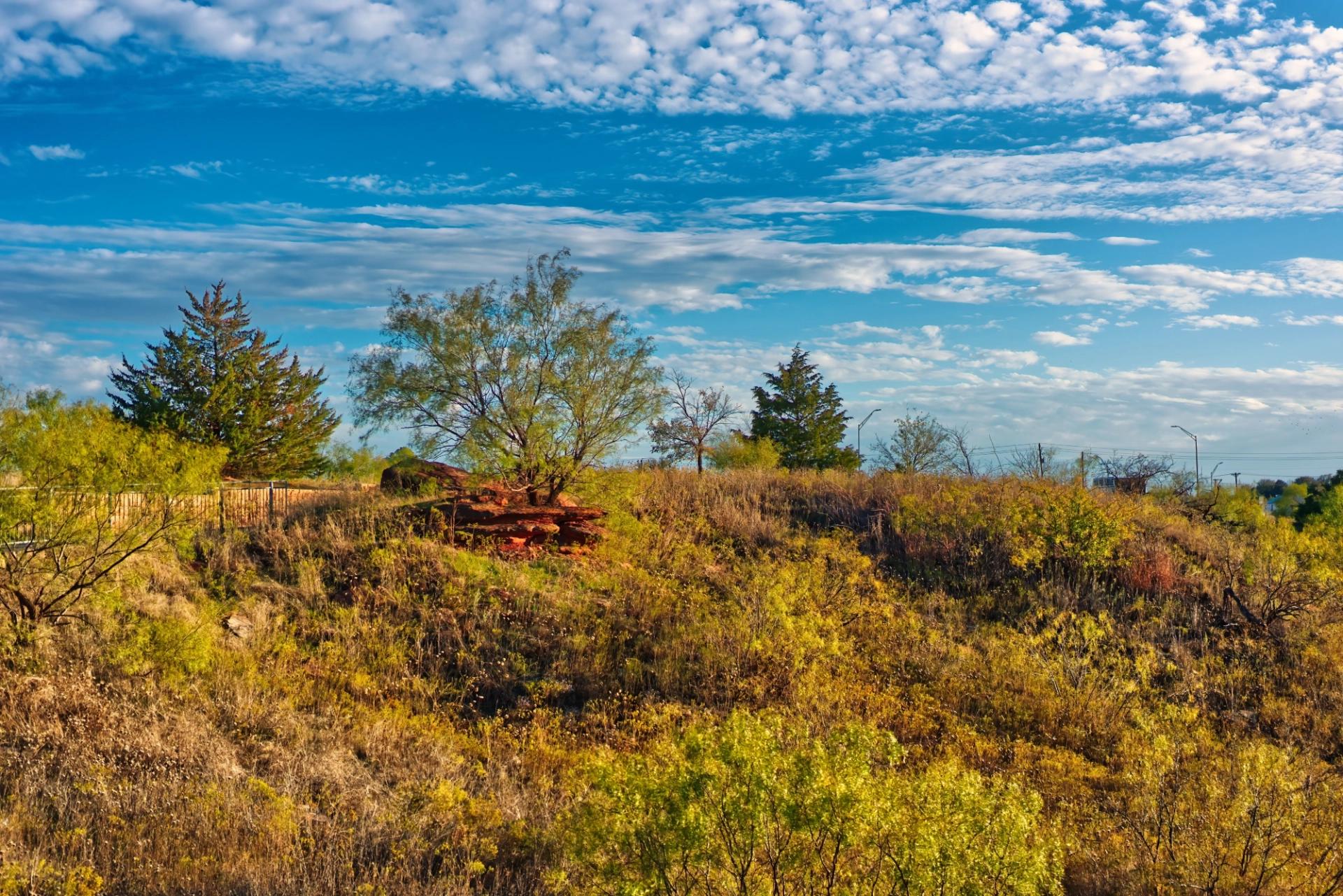 Autumn scrubland with a blue sky background