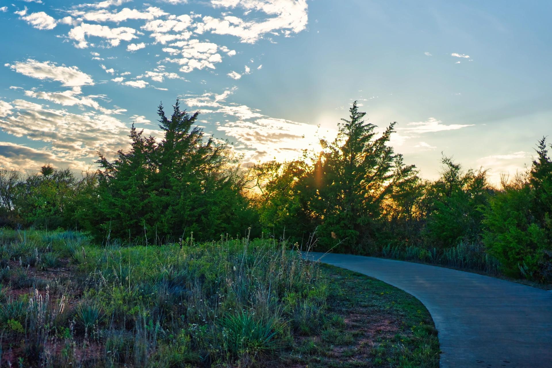 A cement path with trees and a sunset