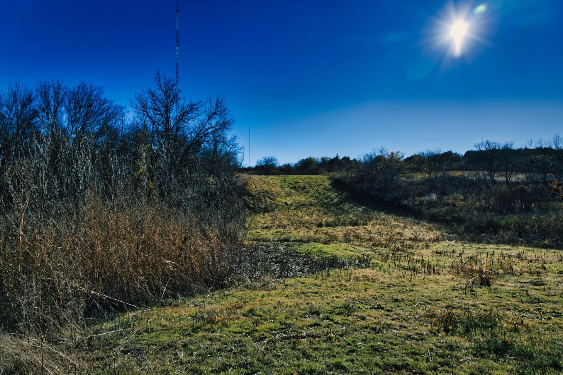 A green path with dead trees, bushes, blue sky and the sun