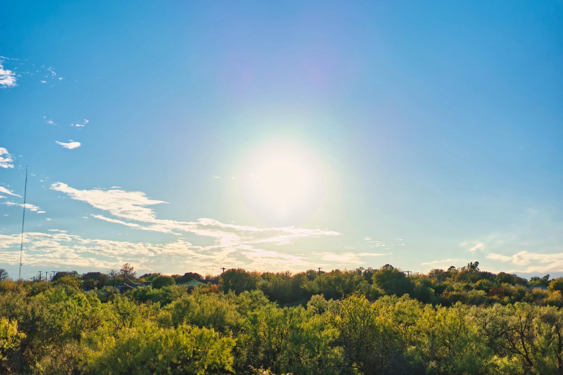 A sunset above small green trees and bushes